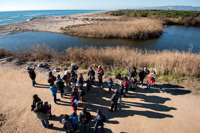 Alguns dels participants de l'activitat a la platja