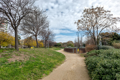 Un dels camins del parc