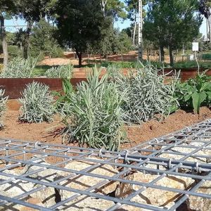 Jardí de papallones del Bosc de Can Gorgs