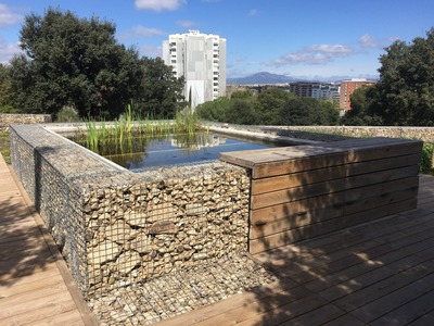 Jardí de les papallones i hotel d'insectes