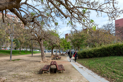 Espai del parc amb bancs