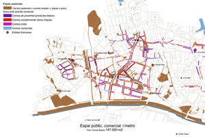 Analysis of the current pedestrian and commercial structure