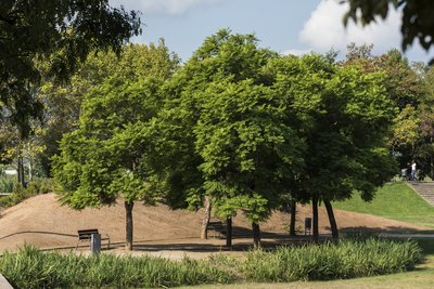 Parc del Llobregat