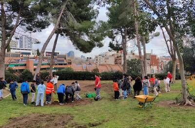 Plantació popular als parcs