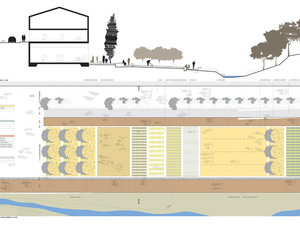 Intervencions: Parc central - imatge