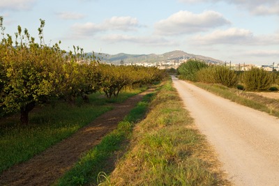 Espais naturals del Delta