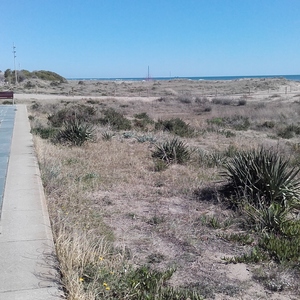 Eliminació de plantes invasores