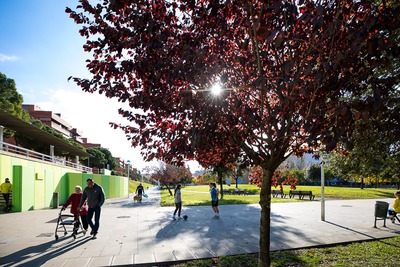 Un dels camins del parc