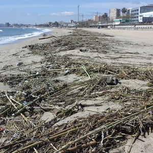 Arribada massiva de residus a les platges