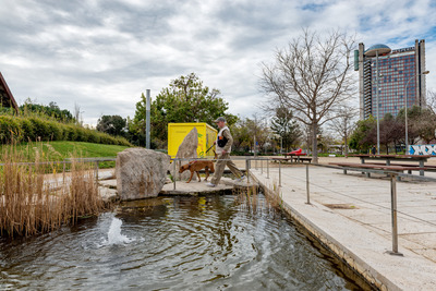 Un dels estanys del parc