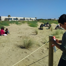 Èxit de participació a la plantació a les dunes de Gavà