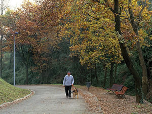 Imagen del parque