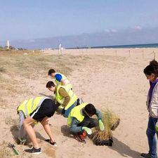 Projectes participatius a les platges