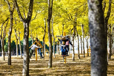 Elements esportius en una zona amb vegetació i ombra