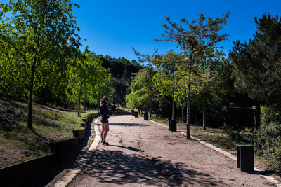 Un dels camins del parc amb vegetació a banda i banda