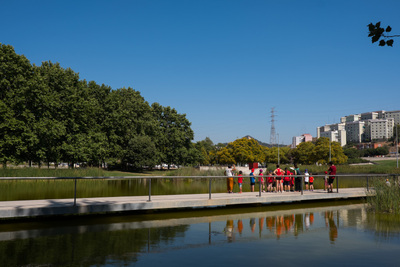 Llac del parc