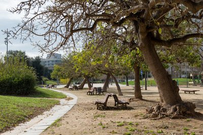 Espai amb bancs i ombra