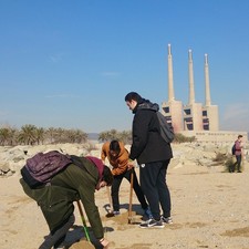 Plantacions a les dunes