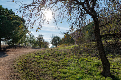 Un dels camins del parc