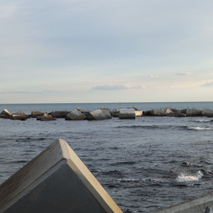 Abalisament de protecció d'ocells marins