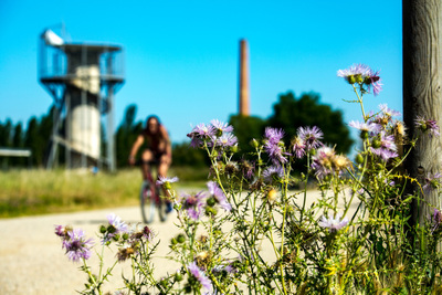 Camí de bicicletes