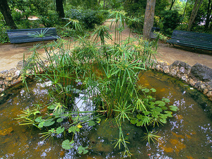 Imagen del parque