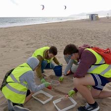 Projectes participatius a les platges