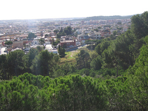 Pineda i vora urbana