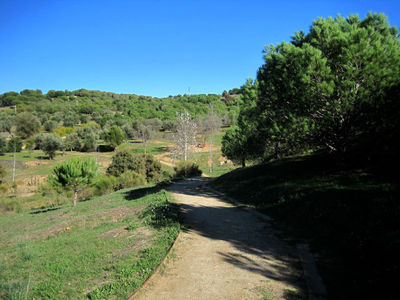 Imatge d'un dels camins del parc