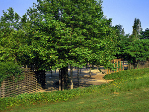 Parc del Turonet