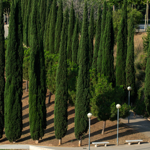 Parc del Torrent de la Font i del Turó de l'Enric