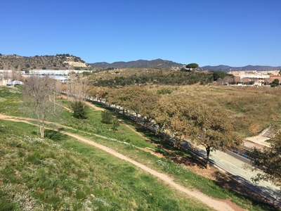 Vista des de la part alta del parc