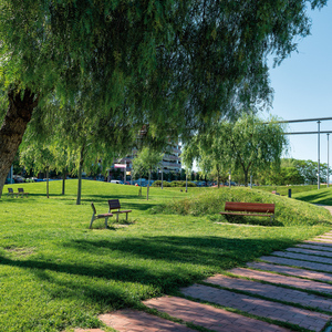 Un dels camins del parc