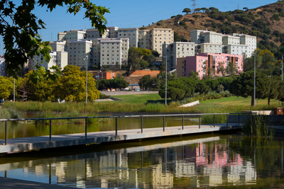 Passera sobre el llac del parc