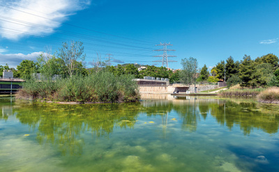 Imatge del llac del parc