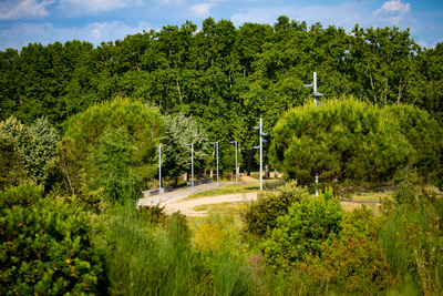 Camí entre la vegetació del parc