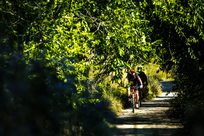 Un tram del camí de bicicletes