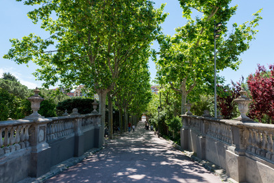 Pont que travessa el parc