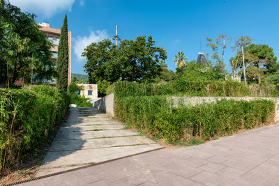 Un dels camins del parc