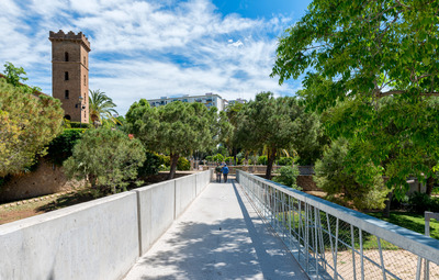 Un camí que travessa el parc