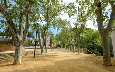 Estat previ del parc