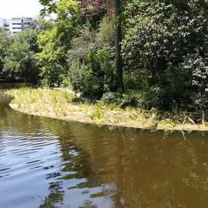 Noves illes flotants al llac romàntic del parc de Can Solei i Ca l'Arnús