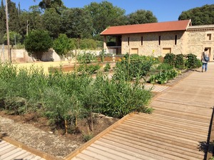 Imatge del parc