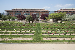 Imagen del parque