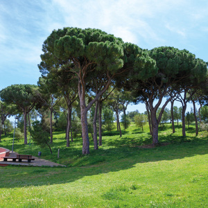 Imatge del parc del Calamot