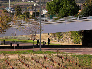 Imagen del parque