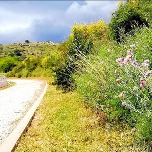 Galeria 1