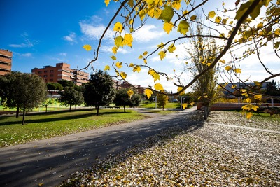 Zona d'ombra i descans al parc