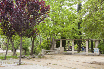 Vegetació al parc