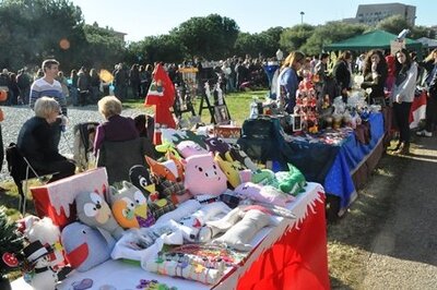 Imatge de l'activitat